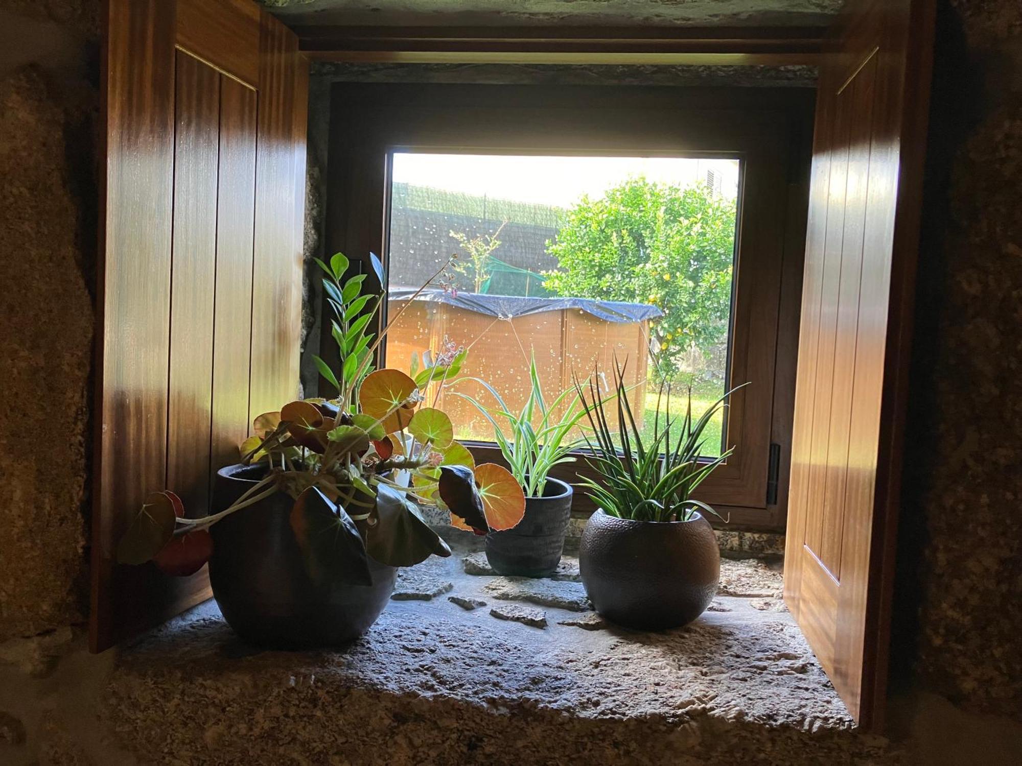 Bergui Guesthouse - Em Guimaraes Desde 2017 Eksteriør billede